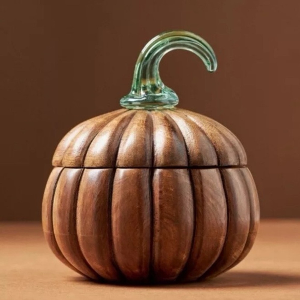 Anthropologie Wooden Pumpkin Decor with Green Stem